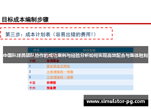 中国队球员团队协作的成功案例与经验分析如何实现高效配合与集体胜利