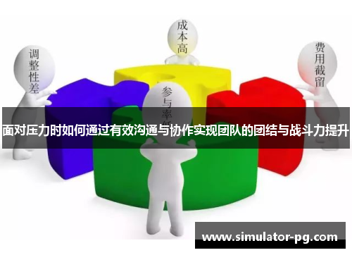 面对压力时如何通过有效沟通与协作实现团队的团结与战斗力提升