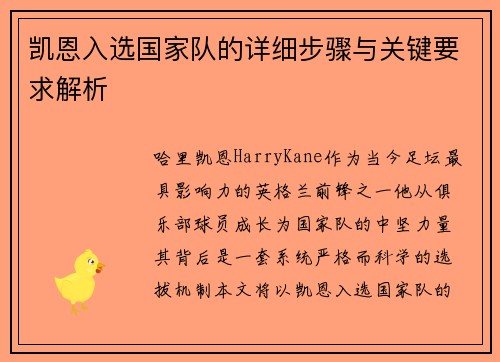 凯恩入选国家队的详细步骤与关键要求解析