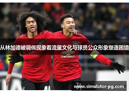 从林加德被调侃现象看流量文化与球员公众形象塑造困境