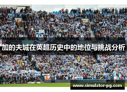 加的夫城在英超历史中的地位与挑战分析