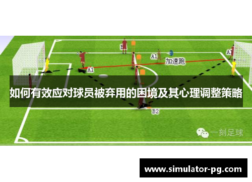 如何有效应对球员被弃用的困境及其心理调整策略
